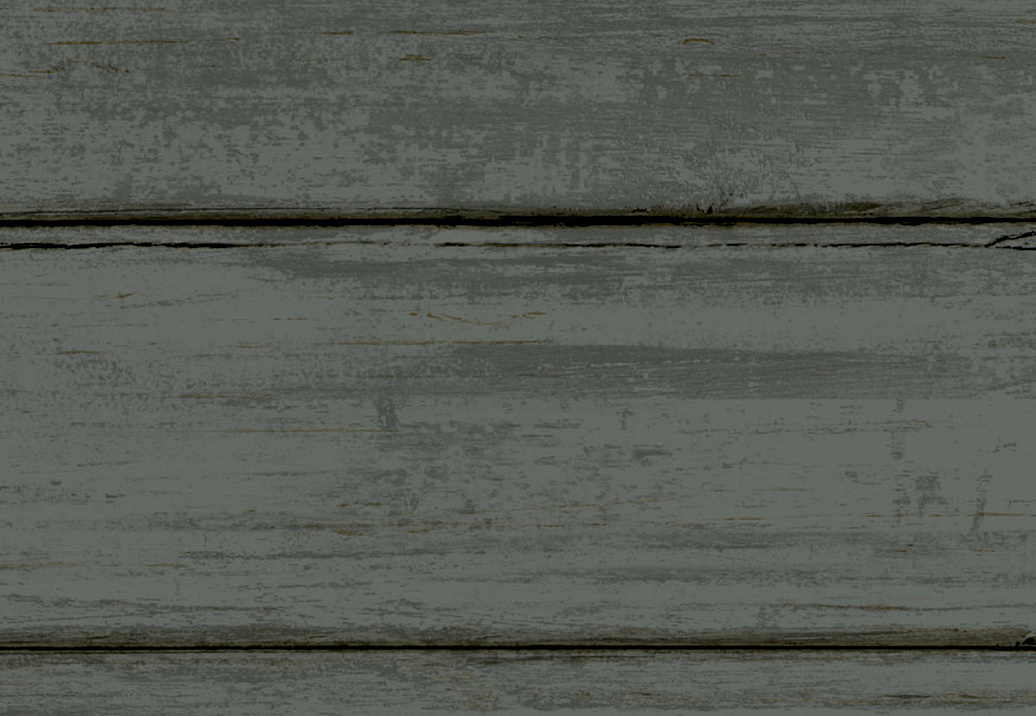 Обои York Natural Digest ND3055