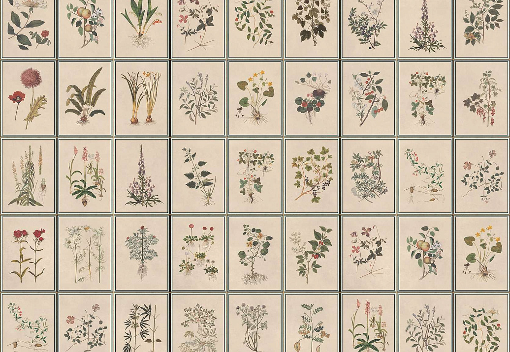 Панно и фотообои Iksel Standart Collection vol. II Renaissance Herbier