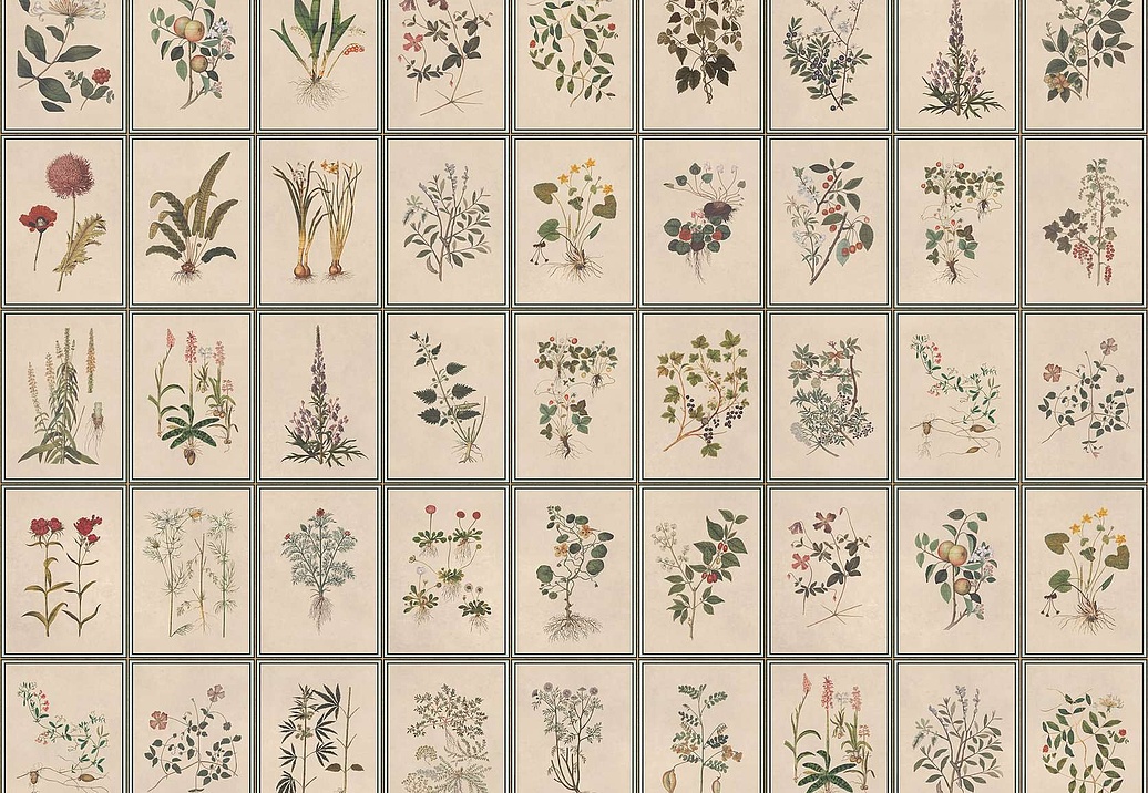Панно и фотообои Iksel Standart Collection vol. II Renaissance Herbier