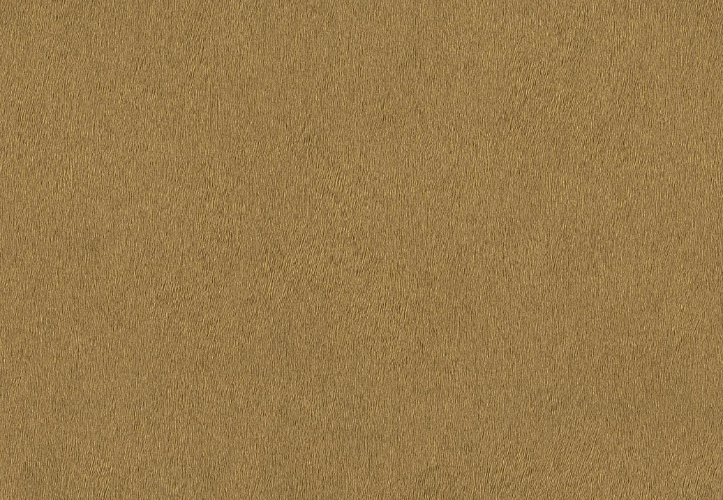 Обои Rasch African Queen III 751031