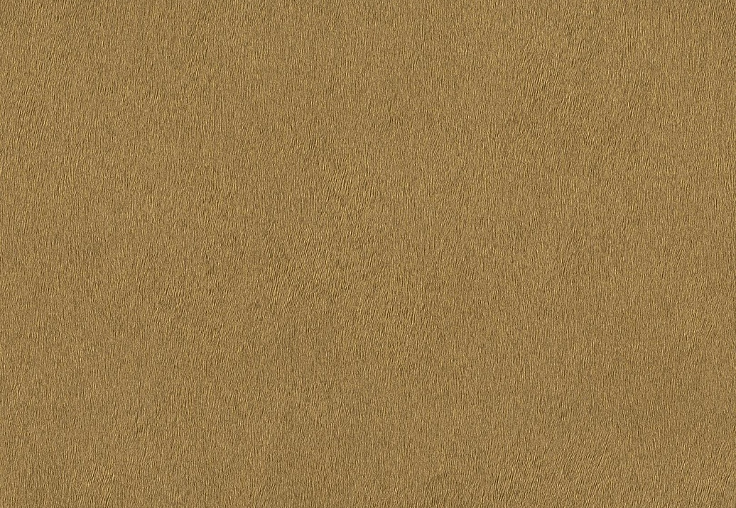 Обои Rasch African Queen III 751031