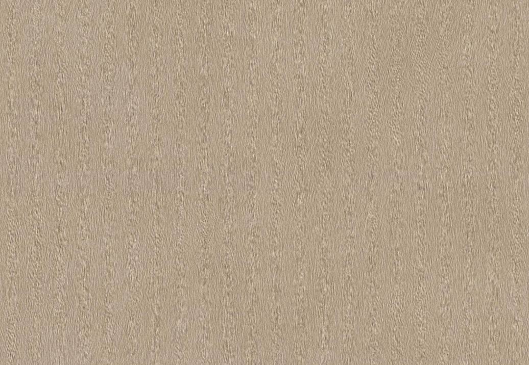 Обои Rasch African Queen III 751055
