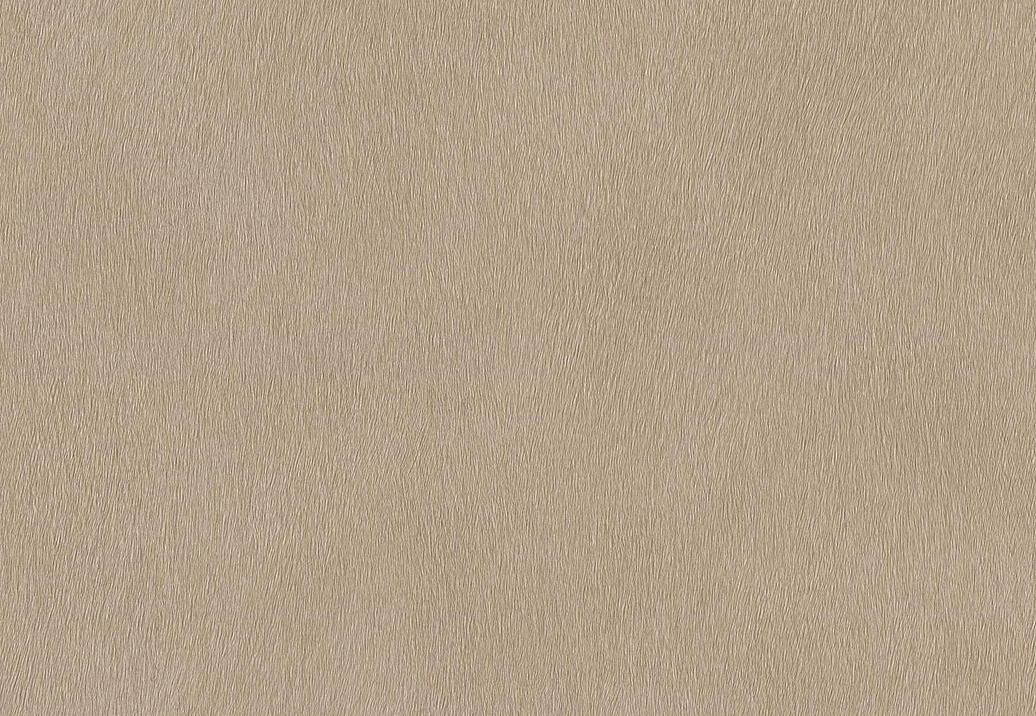 Обои Rasch African Queen III 751055