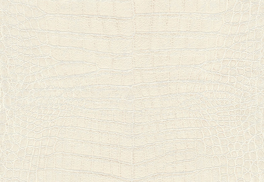 Обои Rasch African Queen III 751321