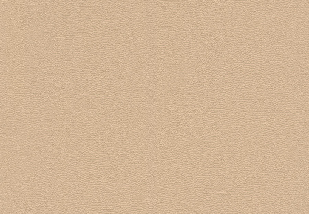 Обои Rasch African Queen III 752694