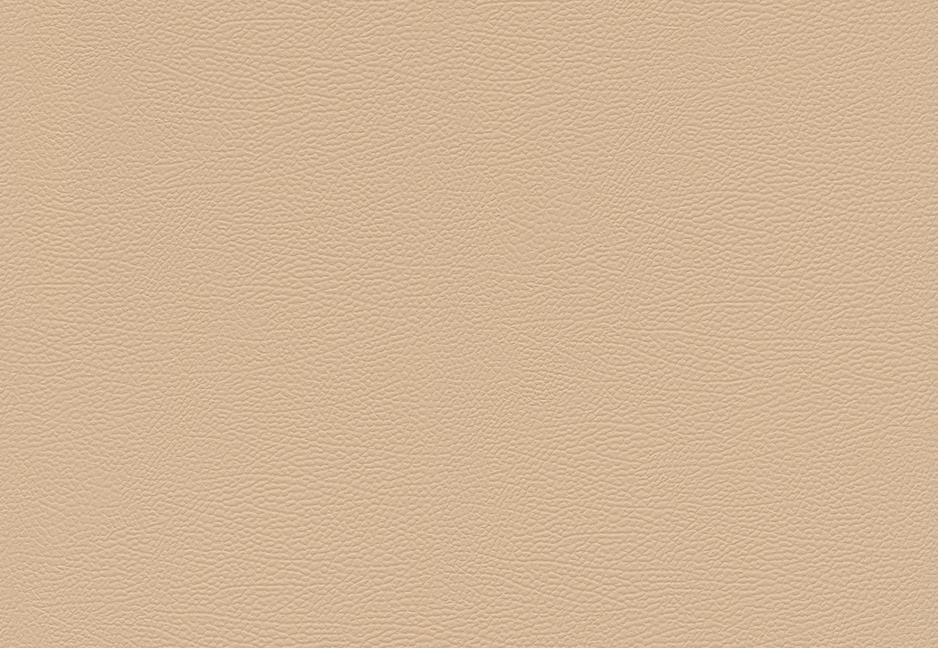 Обои Rasch African Queen III 752694