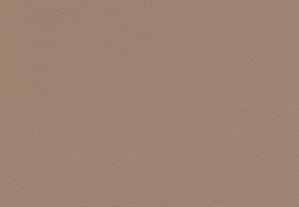 Обои Rasch African Queen III 752724