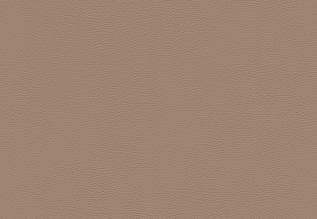 Обои Rasch African Queen III 752724