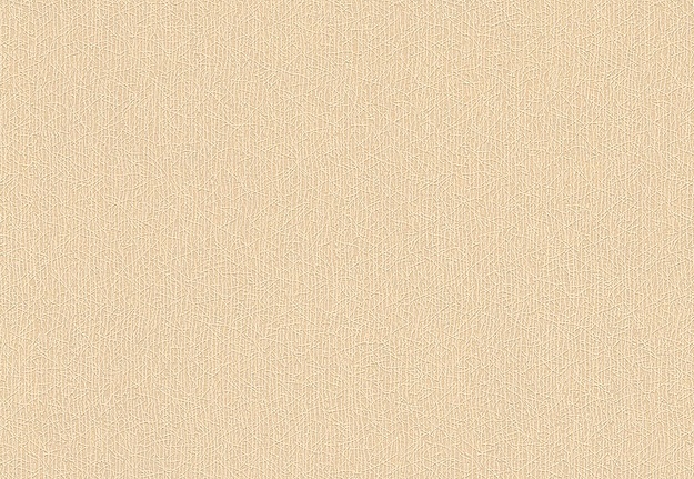 Обои A. S. Creation Colourfast 95956-6
