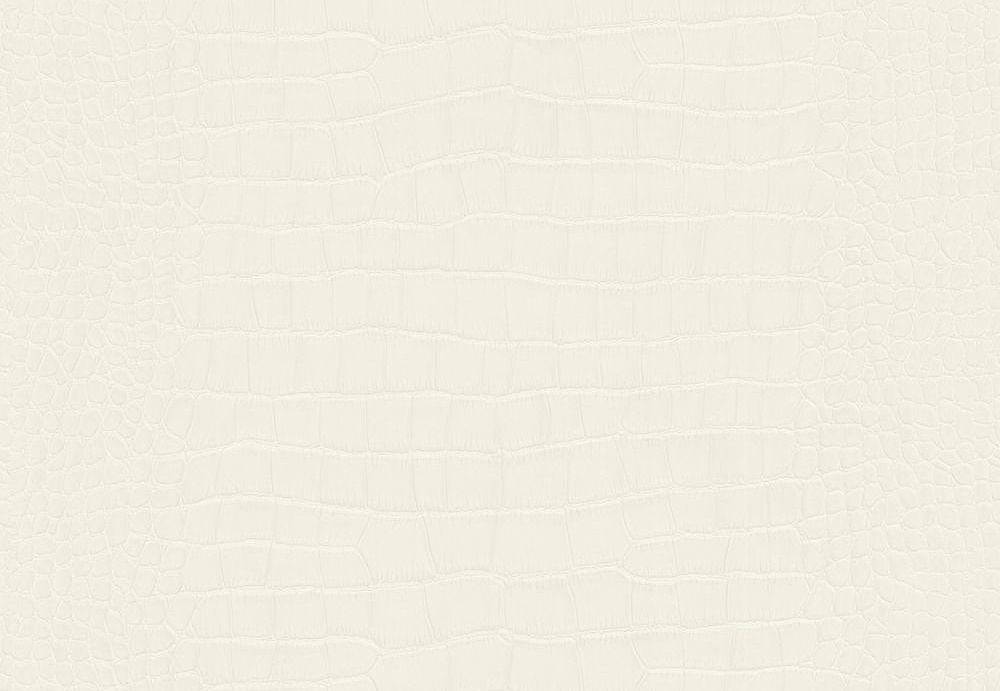 Обои A. S. Creation Dekora Natur VI 6651-33
