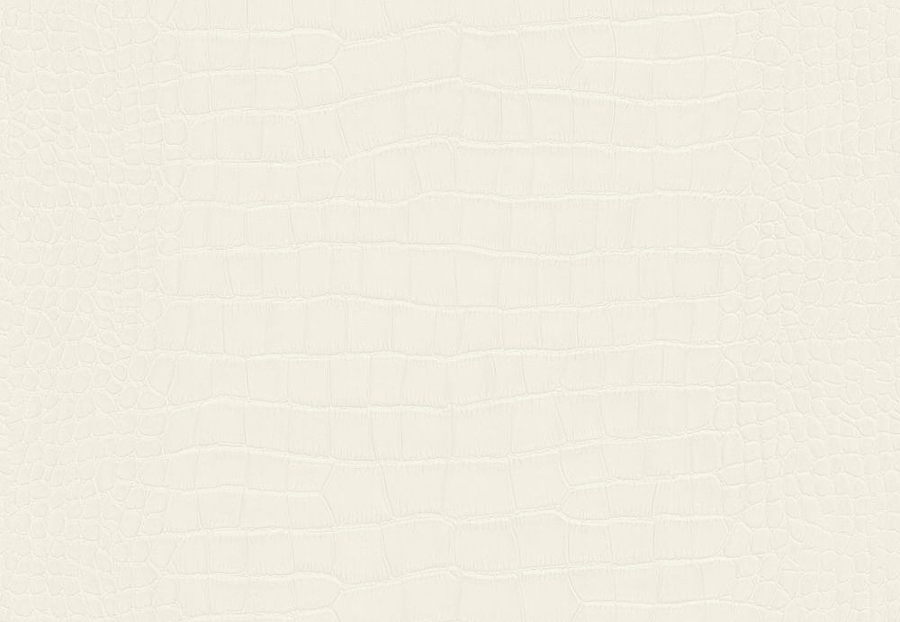 Обои A. S. Creation Dekora Natur VI 6651-33