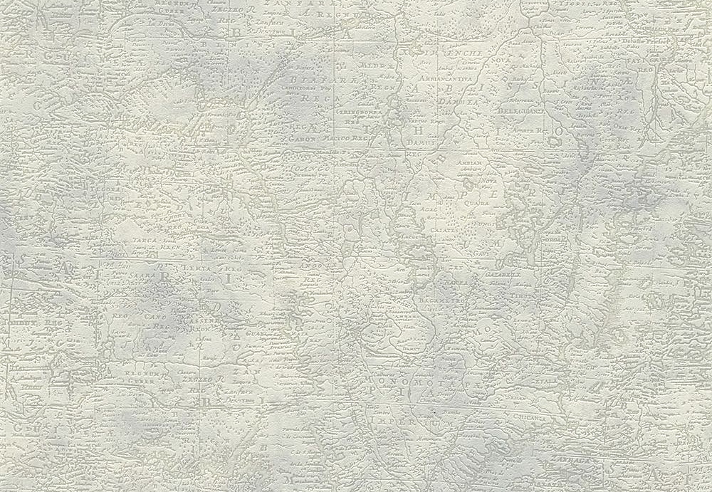 Обои A. S. Creation Dekora Natur VI 9589-61