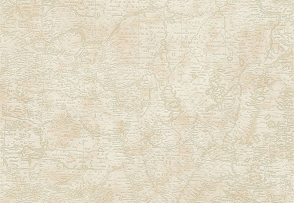 Обои A. S. Creation Dekora Natur VI 9589-62
