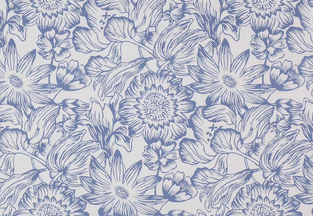 Ткань Manuel Canovas Manon 04755/02