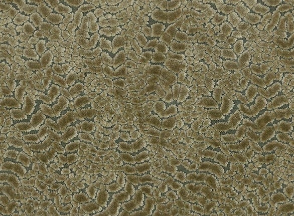 Ткань Nina Campbell Cathay Weaves NCF4160-08