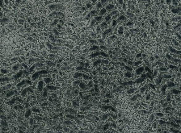 Ткань Nina Campbell Cathay Weaves NCF4160-09