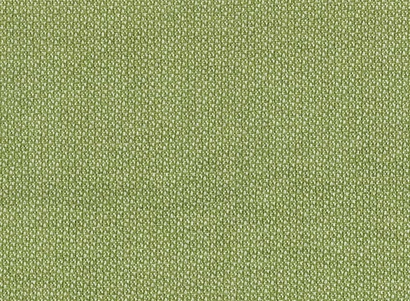 Ткань Nina Campbell Cathay Weaves NCF4162-02