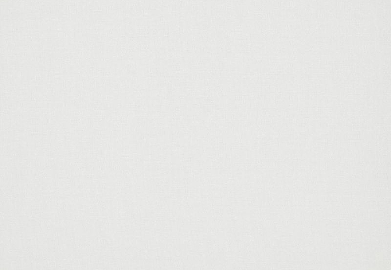 Ткань Daylight Simple Illusive/Ice