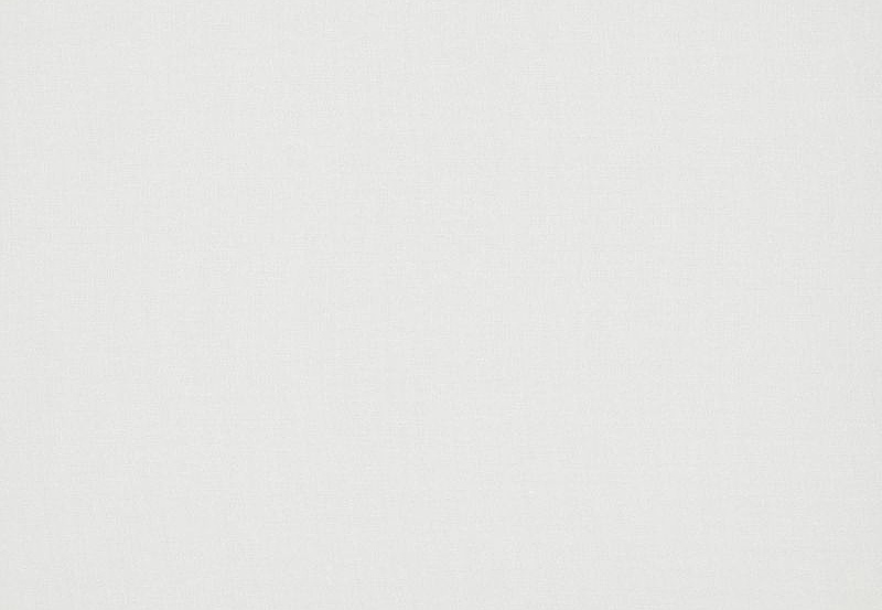 Ткань Daylight Simple Illusive/Ice