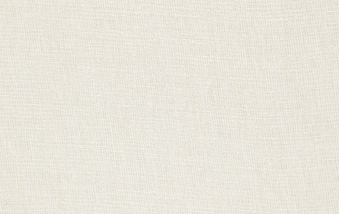 Бельгийская ткань Daylight, коллекция Simple, артикул Nube/Raffia