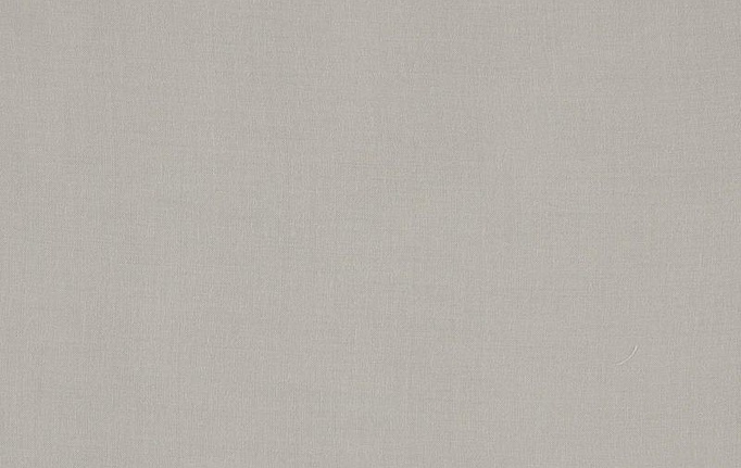 Бельгийская ткань Daylight, коллекция Simple, артикул Illusive/Linen