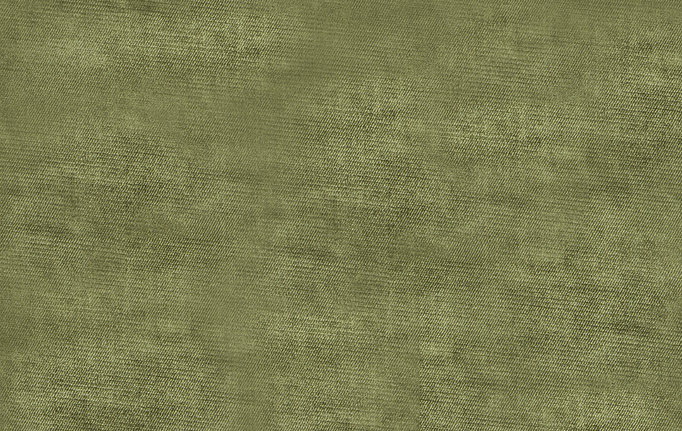 Американская ткань Trend, коллекция Hollywood Velvet Multipurpose, артикул 02633/Jungle