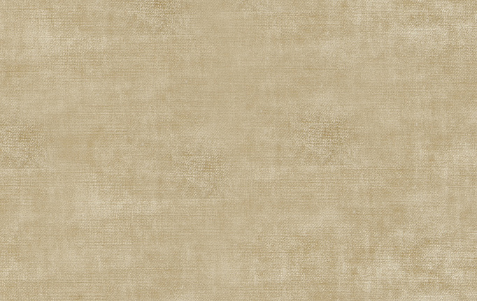 Американская ткань Trend, коллекция Hollywood Velvet Multipurpose, артикул 02633/Chamois