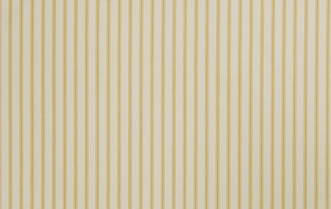 Американская ткань Trend, коллекция Lemon Zest Cashew Prints & Wovens Vol.III, артикул 02625/LemonZest