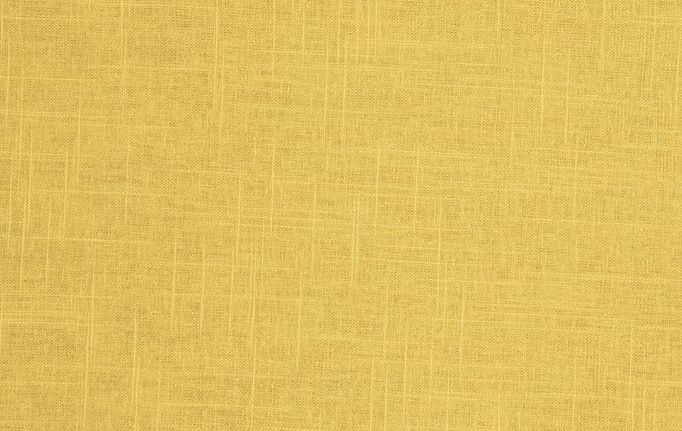 Американская ткань Trend, коллекция Lemon Zest Cashew Prints & Wovens Vol.III, артикул 02636/Soleil