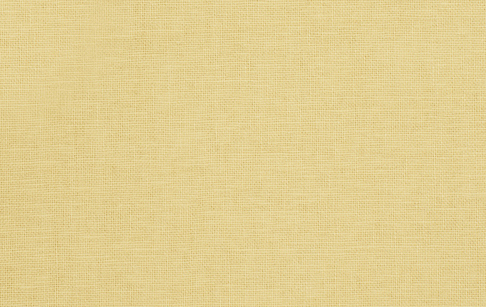 Американская ткань Trend, коллекция Lemon Zest Cashew Prints & Wovens Vol.III, артикул 01838/Soleil