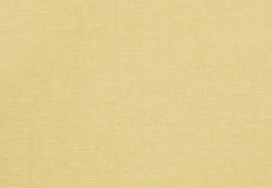 Ткань Trend Lemon Zest Cashew Prints & Wovens Vol.III 01838/Soleil