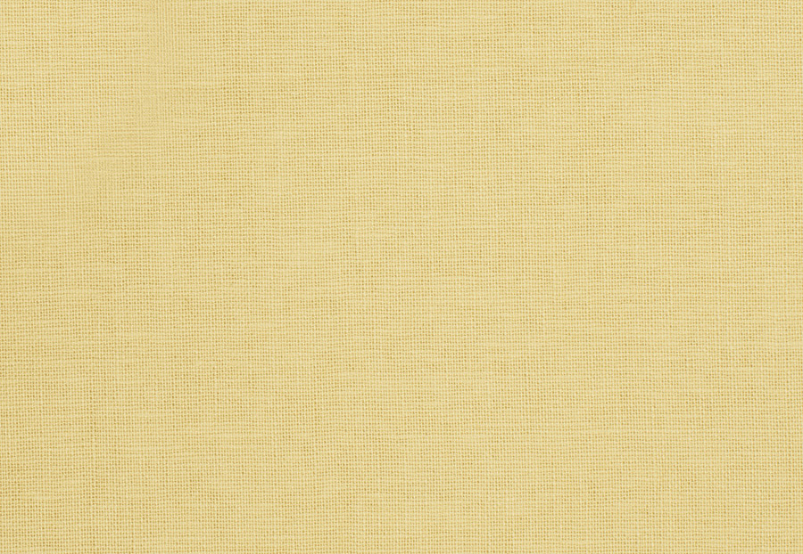 Ткань Trend Lemon Zest Cashew Prints & Wovens Vol.III 01838/Soleil