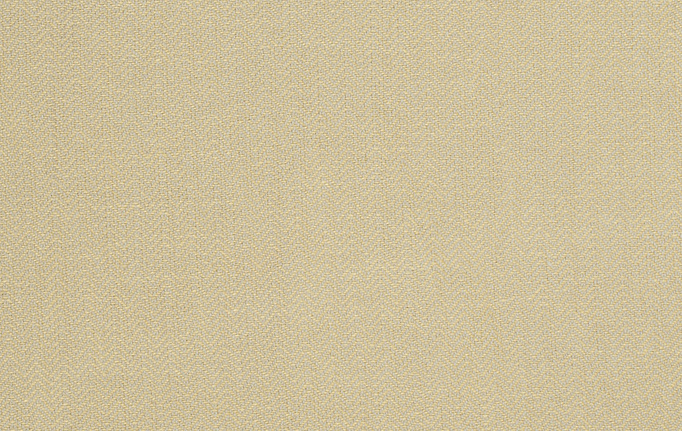 Американская ткань Trend, коллекция Lemon Zest Cashew Prints & Wovens Vol.III, артикул 02622/LemonZest