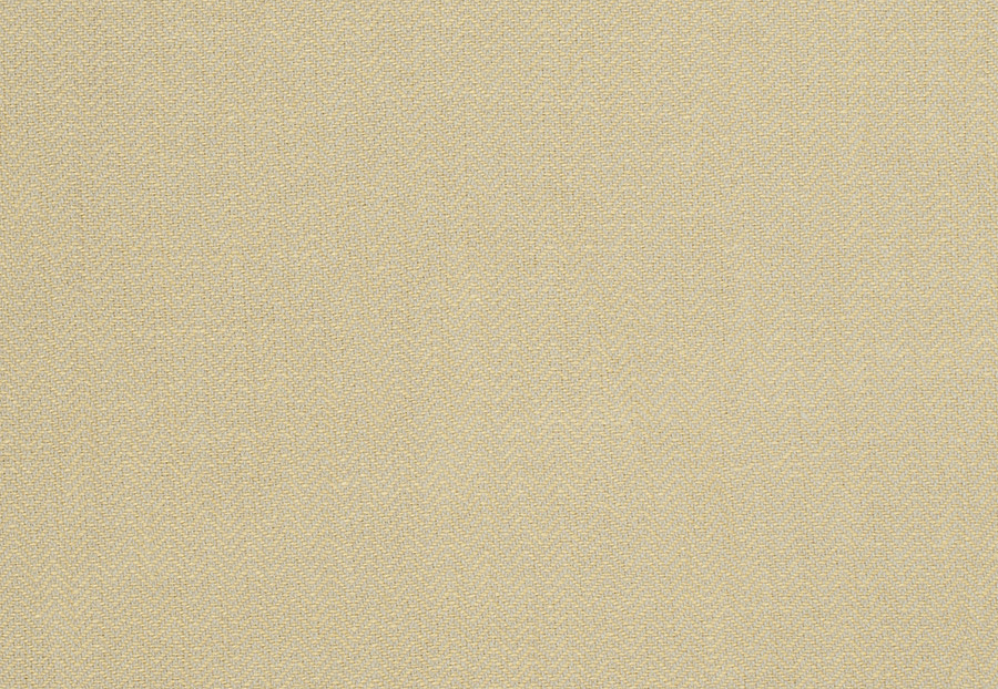 Ткань Trend Lemon Zest Cashew Prints & Wovens Vol.III 02622/LemonZest