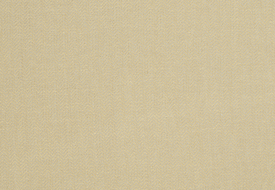 Ткань Trend Lemon Zest Cashew Prints & Wovens Vol.III 02622/LemonZest