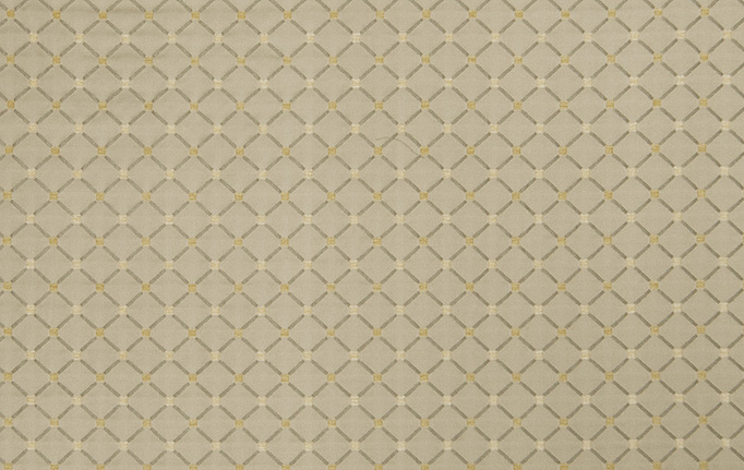 Американская ткань Trend, коллекция Lemon Zest Cashew Prints & Wovens Vol.III, артикул 02104/LemonZest