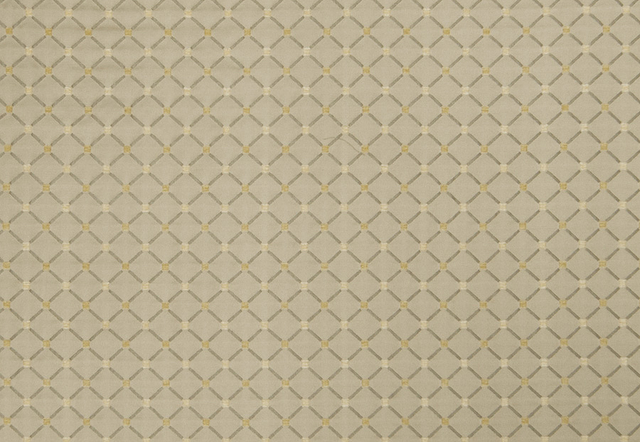 Ткань Trend Lemon Zest Cashew Prints & Wovens Vol.III 02104/LemonZest