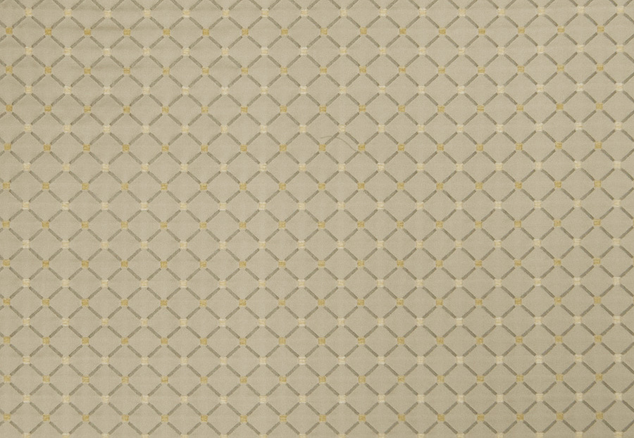 Ткань Trend Lemon Zest Cashew Prints & Wovens Vol.III 02104/LemonZest