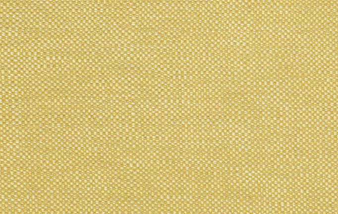 Американская ткань Trend, коллекция Lemon Zest Cashew Prints & Wovens Vol.III, артикул 02628/LemonZest
