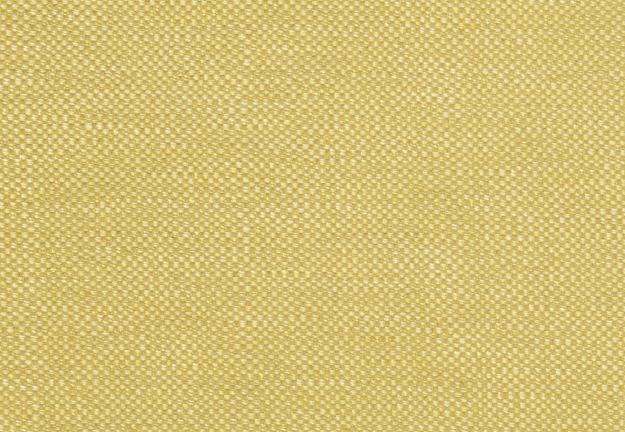 Ткань Trend Lemon Zest Cashew Prints & Wovens Vol.III 02628/LemonZest