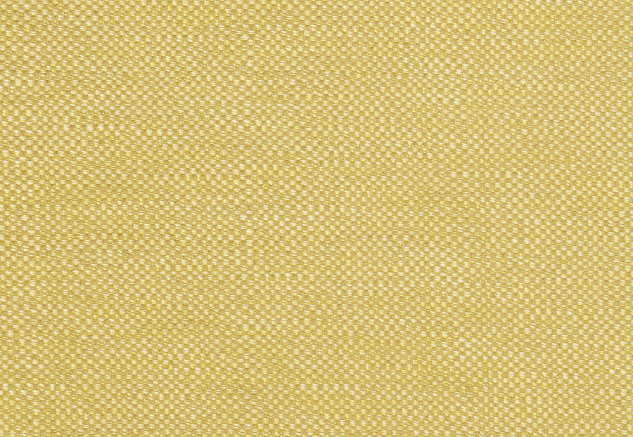 Ткань Trend Lemon Zest Cashew Prints & Wovens Vol.III 02628/LemonZest
