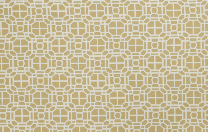 Американская ткань Trend, коллекция Lemon Zest Cashew Prints & Wovens Vol.III, артикул 02602/LemonZest