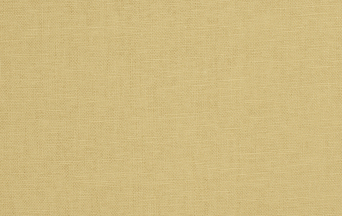Американская ткань Trend, коллекция Lemon Zest Cashew Prints & Wovens Vol.III, артикул 01838/Cashew