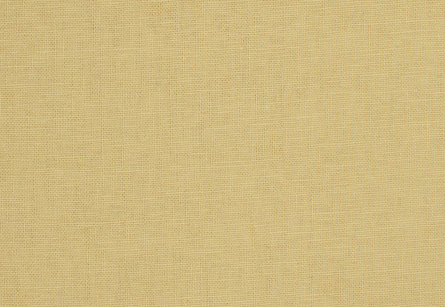 Ткань Trend Lemon Zest Cashew Prints & Wovens Vol.III 01838/Cashew