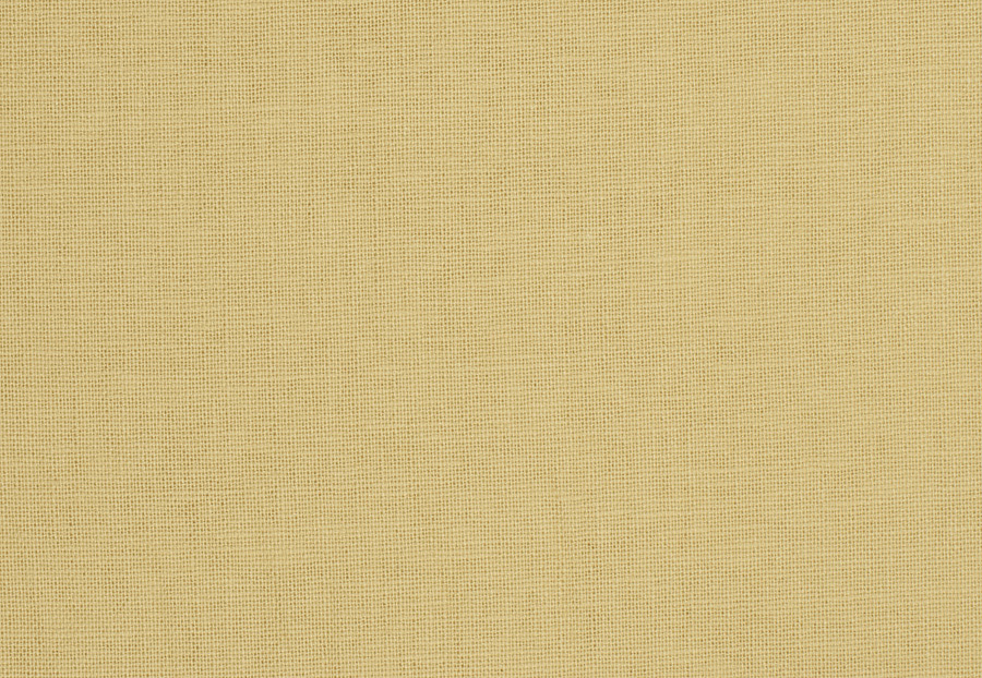Ткань Trend Lemon Zest Cashew Prints & Wovens Vol.III 01838/Cashew