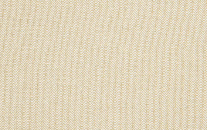 Американская ткань Trend, коллекция Lemon Zest Cashew Prints & Wovens Vol.III, артикул 02622/Soleil