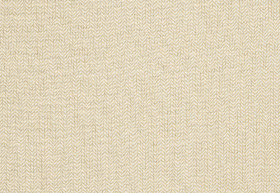 Ткань Trend Lemon Zest Cashew Prints & Wovens Vol.III 02622/Soleil