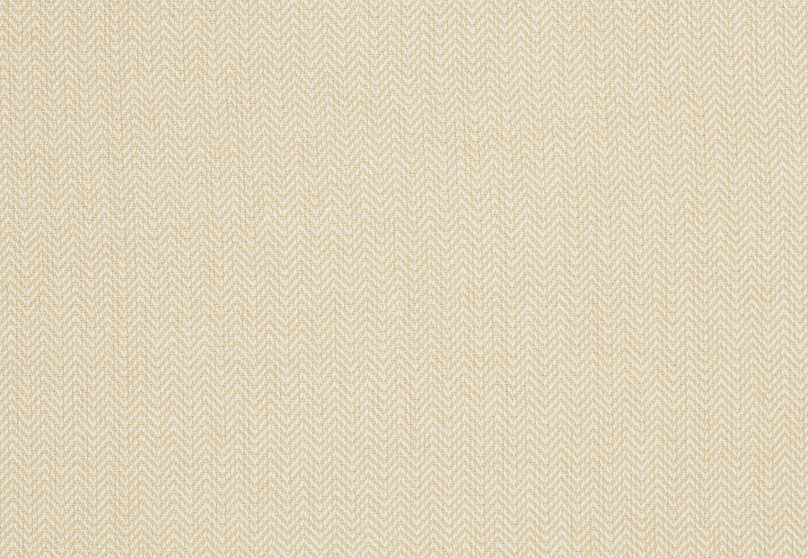 Ткань Trend Lemon Zest Cashew Prints & Wovens Vol.III 02622/Soleil