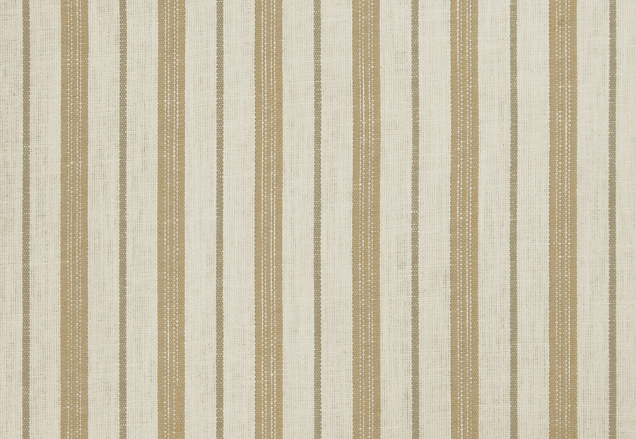 Ткань Trend Lemon Zest Cashew Prints & Wovens Vol.III 02620/Cashew