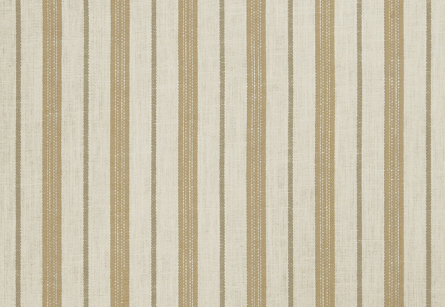 Ткань Trend Lemon Zest Cashew Prints & Wovens Vol.III 02620/Cashew